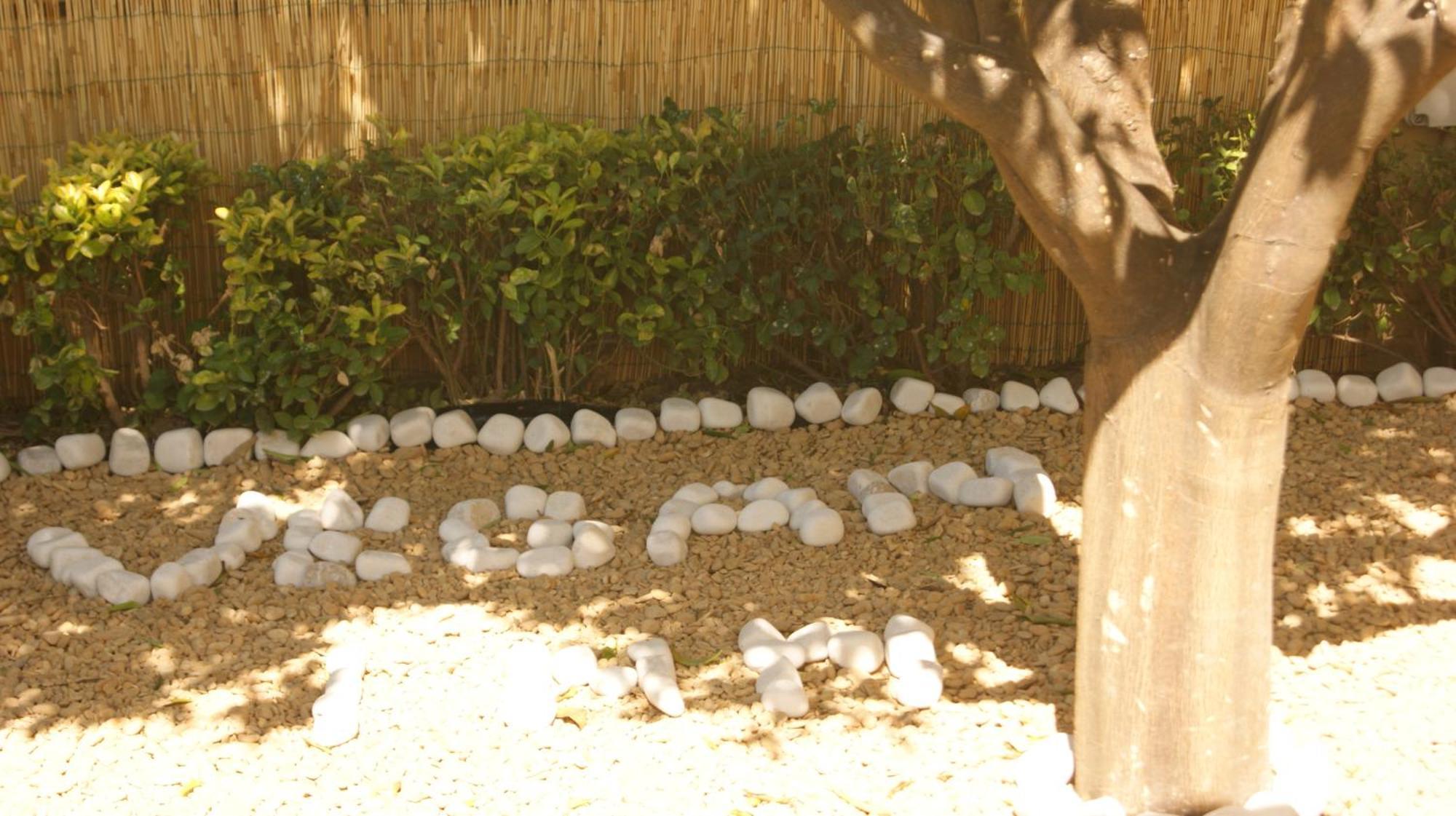 Vegan Inn Airport - Adults Only - Late Check In Fiumicino Exterior foto